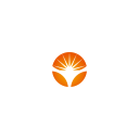 Bright Asset